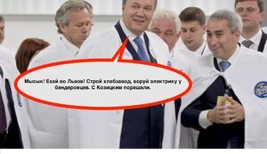козицький