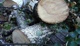 Мінекоенегро за порушення не продовжило контракт із директором Ужанського нацпарку, співробітники не пускають на місце роботи нового керівника