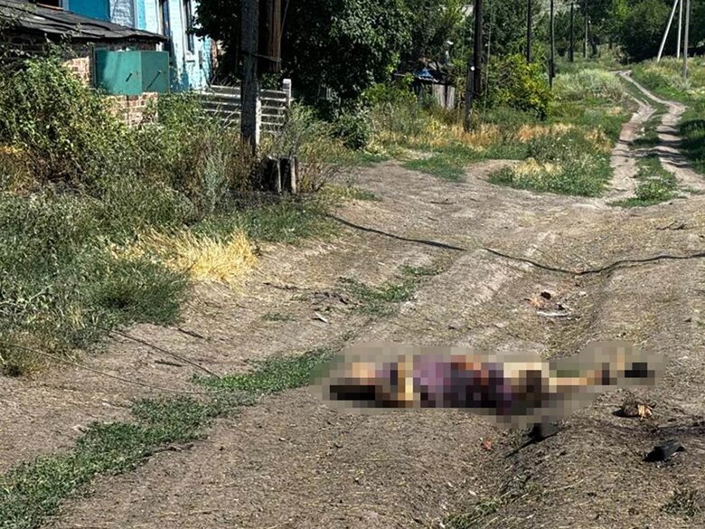 Наслідки обстрілів Донеччини