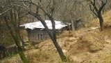 На Закарпатье оползнем накрыло дом. ФОТО