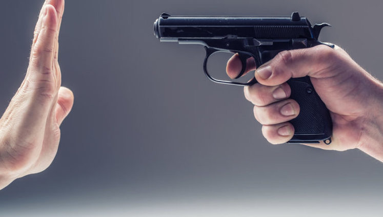 "Преждевременно", - Зеленский отклонил петицию о легализации оружия