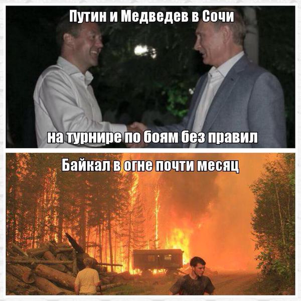 медведев питин