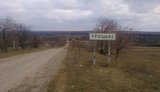 троицкое