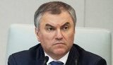 володин,володін