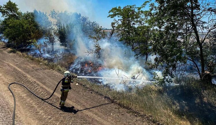 30 га зерновых в течение суток уничтожено на Николаевщине в результате пожаров, - ГСЧС. ВИДЕО+ФОТОрепортаж