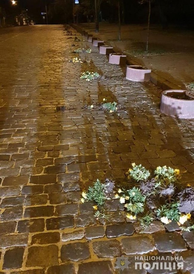 Мужчина повредил клумбы на Алее Героев Небесной Сотни в Киеве, - Нацполиция 01 Мужчина повредил клумбы на Алее Героев Небесной Сотни в Киеве, - Нацполиция 01