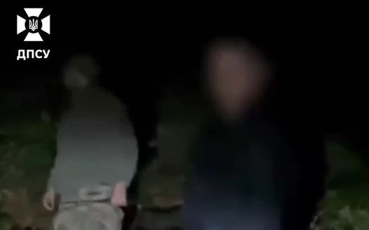 Ведмеді загнали на дерево киянина, який мав намір незаконно перетнути кордон із Румунією. ВIДЕО