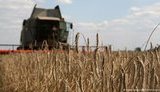 Ukraine: Another crisis for 
