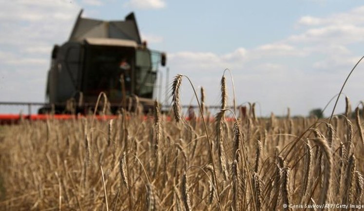 Ukraine: Another crisis for 'Europe's bread basket'