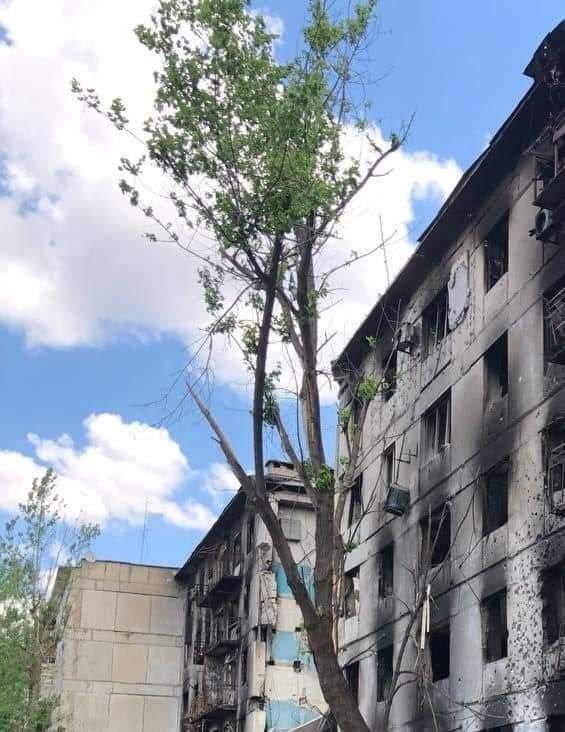 Росіяни хотіли перерізати автошлях Бахмут - Лисичнаськ, але зазнали втрат. ЗСУ стримали ворога, - Гайдай 04