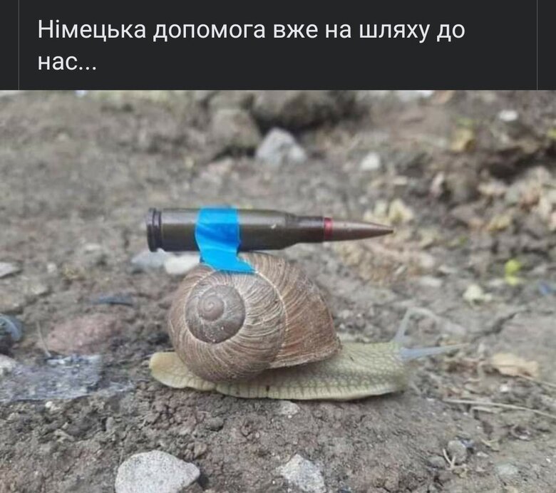 Посол Мельник порівняв швидкість надання військової допомоги Німеччиною із равликом 01