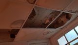 Волонтери продовжують ремонт палат в Інституті раку в Києві на зібрані українцями гроші. Завдяки публікації на Цензор.НЕТ на їхньому рахунку майже 39 тис. грн. ФОТОрепортаж