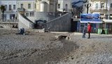 Окупаційна влада Ялти запросила містян на Водохреще зануритися в стічні води. ФОТО