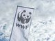 Робота в WWF: українська команда шукає спеціаліста з комунікацій у Києві