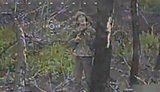 Бійці бригади НГУ Буревій знищили ворожі дрони, техніку, живу силу противника на Добропіллі