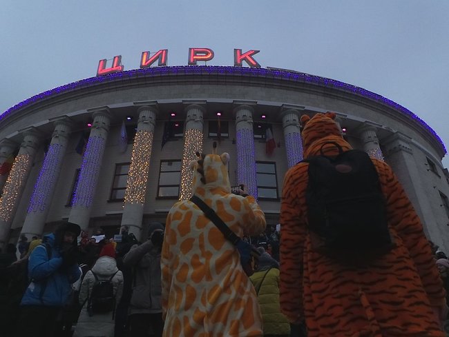 Страждання - це НЕ смішно! У Києві протестували проти використання тварин у цирку 27