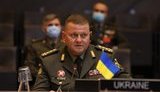 Мы остановили агрессора, развернули части резерва и по определенным направлениям переходим в контрнаступление, - Залужный