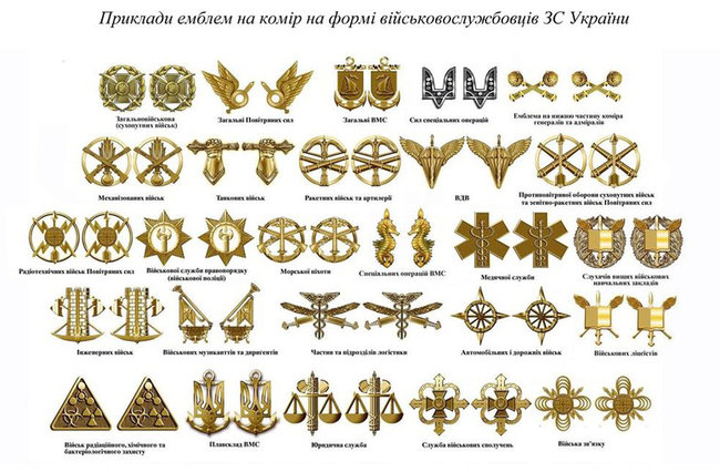 Наші воїни можуть бути ситими і добре спорядженими, але без ідеології це досі радянська армія, - історик Василь Павлов про ребрендинг ЗСУ 03