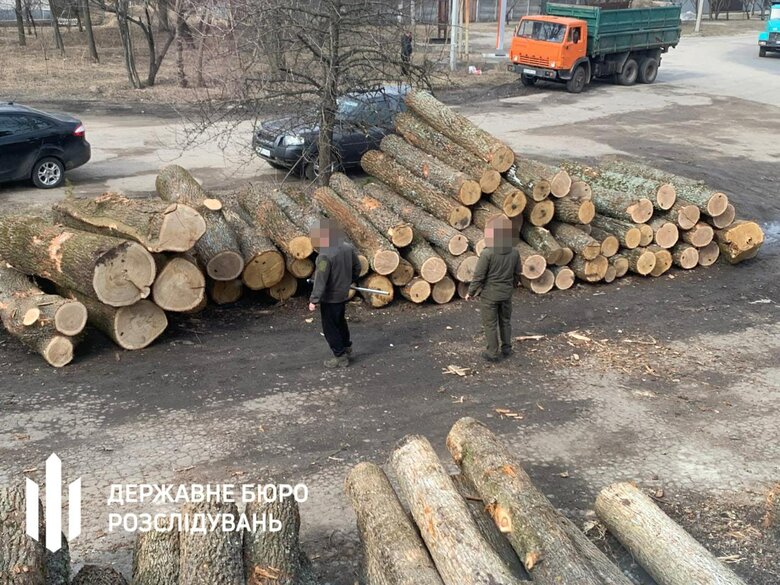 махінації з деревиною на Сумщині