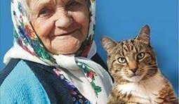 Хату на кота