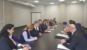 Порошенко на комітетах ПА НАТО закликав до початку предметної дискусії щодо перспектив надання Україні ПДЧ