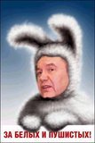За белых и пушистих