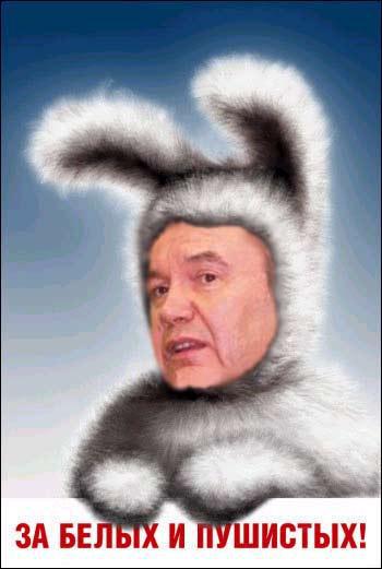 За белых и пушистих
