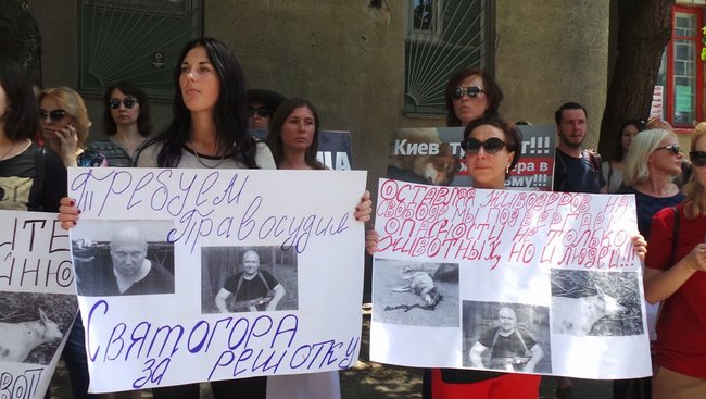 Отключение электричества, самоотвод судьи и митинг: Шевченковский райсуд Киева рассматривает ходатайство об аресте киевского догхантера Святогора 20
