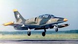 Загинули обидва льотчики літака Л-39, що впав в Азовське море, - Міноборони РФ
