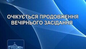 Плотников: Верховная Рада продолжит свое пленарное заседание около 22-х часов