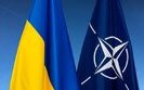 нато,україна