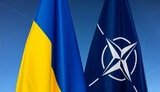нато,україна