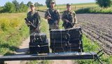 Прикордонники запобігли двом спробам контрабанди сигарет до Польщі та Румунії. ФОТО
