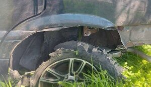 Vehicle attack