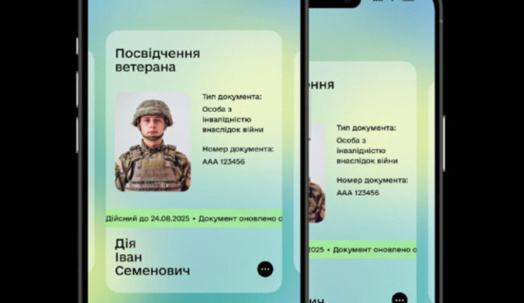 В "Дії" запустили раздел "Ветеран Pro"