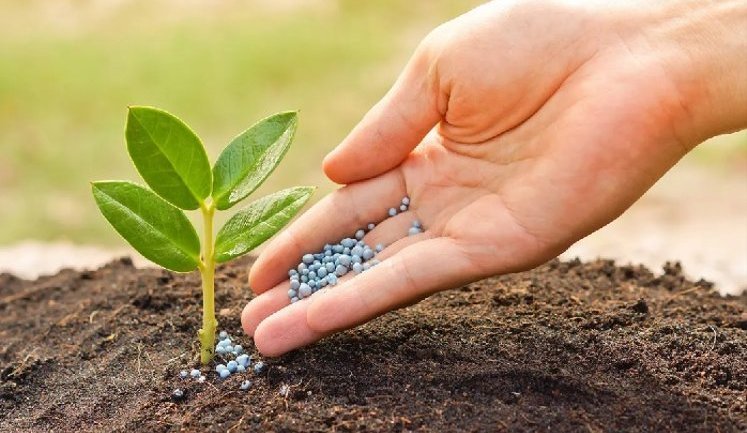 Посівна-2026: через дефіцит азотних добрив Україна може втратити 20% майбутнього урожаю