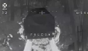 Пограничники бригады "Гарт" отразили наступление рашистов на Южно-Слобожанском направлении. ВИДЕО