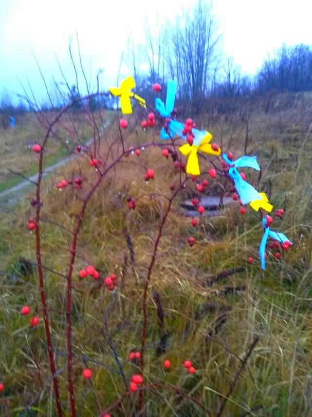 Жителі лівобережної Херсонщини на знак опору ворогу чіпляють синьо-жовті стрічки на вулицях 08