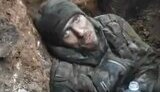полонений