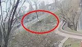 У Києві на Березняках автомобіль злетів з дороги і перекинувся. ВІДЕО камер спостереження
