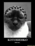 Котошенко