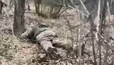 дшв