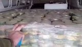 Партію м