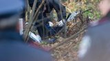 Почему-то самоубийство Мазурка совпало с пиком фальсификаций на выборах, - Москаль