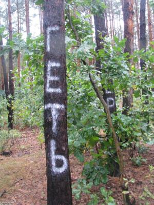 Цензор.НЕТ Изображение