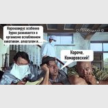 Короче, Комаровский!