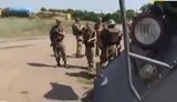 бойцы старогнатовка