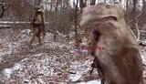 anti-drone deerskin