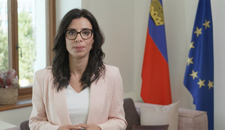 Все предложения относительно мира должны быть приемлемыми для Украины, - глава МИД Лихтенштейна Гаслер
