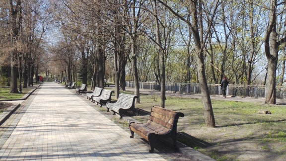 Киев на карантине: пустые парки и одинокие прохожие 12